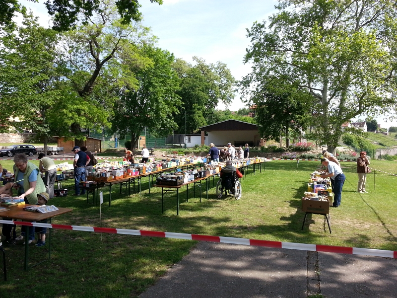 2014-05-25_5. Burgwerbener Buechermarkt_10.jpg